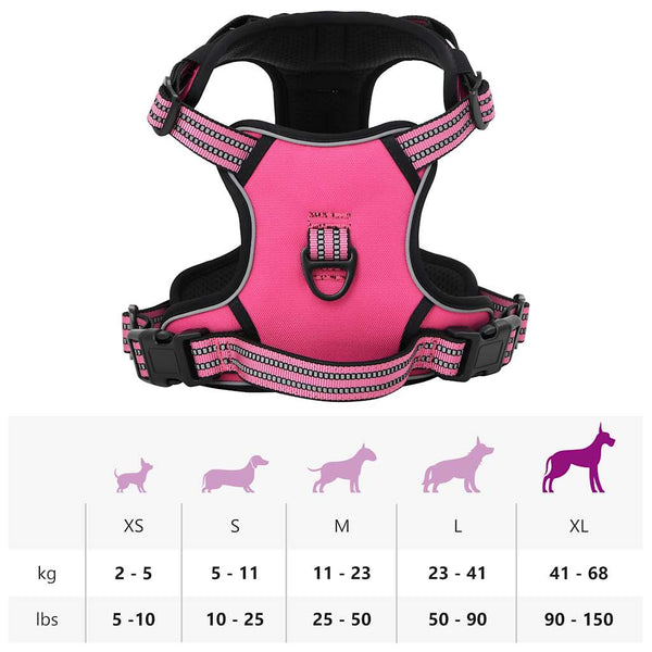 Hundegeschirr mit Leine & Halsband Rosa XL