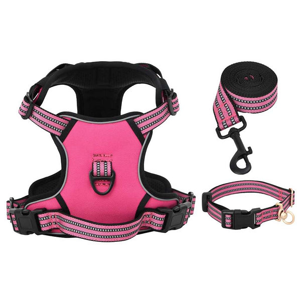Hundegeschirr mit Leine & Halsband Rosa XL
