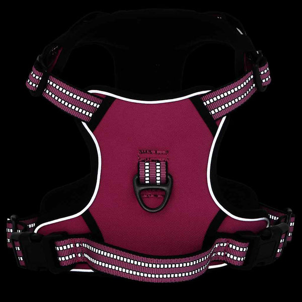 Hundegeschirr mit Leine & Halsband Rosa XL