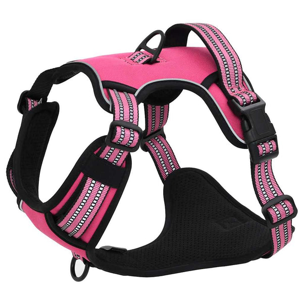 Hundegeschirr mit Leine & Halsband Rosa XL