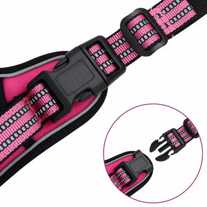 Hundegeschirr mit Leine & Halsband Rosa XL