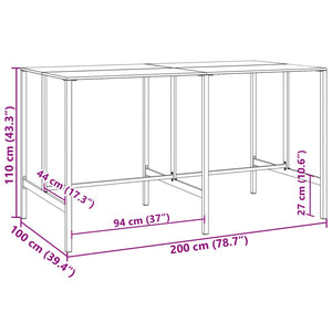 Schwarzer Bartisch 200x100x110 cm