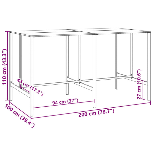 Schwarzer Bartisch 200x100x110 cm