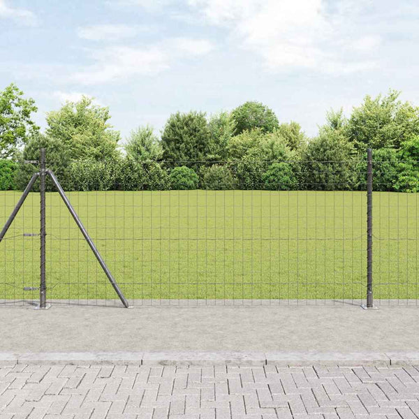 Stahlzaun mit Pfosten Grau 1x10 m