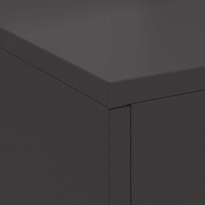 Feuerstelle Schwarz Stahl 60x40x96cm
