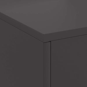 Feuerstelle Schwarz Stahl 80x50x96cm