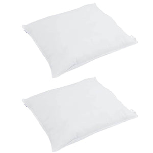 vidaXL Oreiller avec housse 2 pcs Blanc 40 x 40 cm Plumes