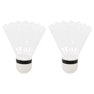 Badminton Set mit Netz und 2 Schlägern