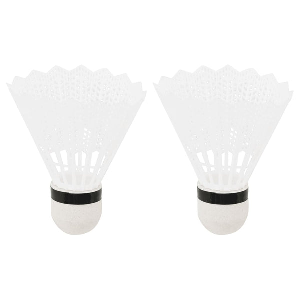 Badminton Set mit Netz und 2 Schlägern