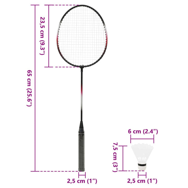Badminton Set mit Netz und 2 Schlägern