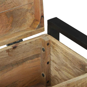 Aufbewahrungstruhe Braun Mango Massivholz 60x30x30cm