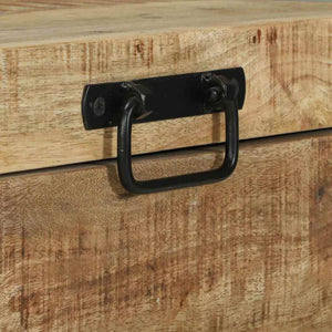 Aufbewahrungstruhe Braun Mango Massivholz 60x30x30cm