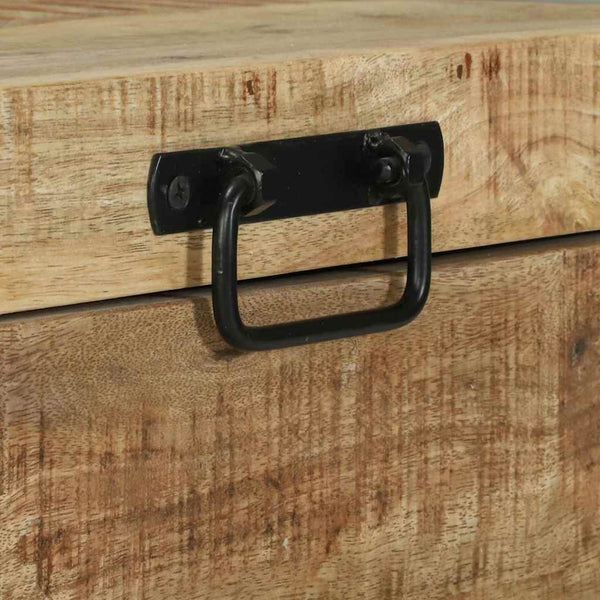 Aufbewahrungstruhe Braun Mango Massivholz 60x30x30cm