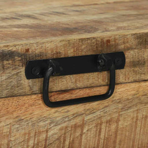 Braune Aufbewahrungstruhe Mango Massivholz 80x30x30cm