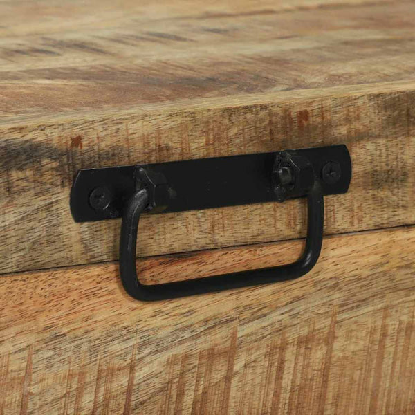 Braune Aufbewahrungstruhe Mango Massivholz 80x30x30cm