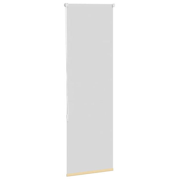 Beige Verdunkelungsrollo 60x175cm