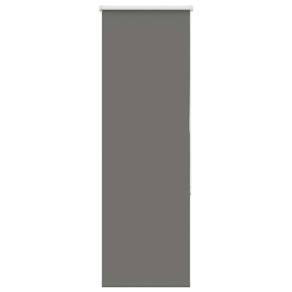 Verdunkelungsrollo Grau 50x130 cm