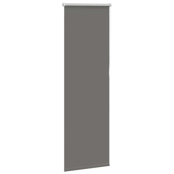 Graues Verdunkelungsrollo 55x130 cm