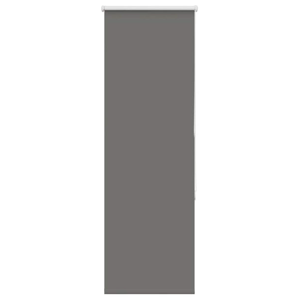 Verdunkelungsrollo Grau 40x150cm