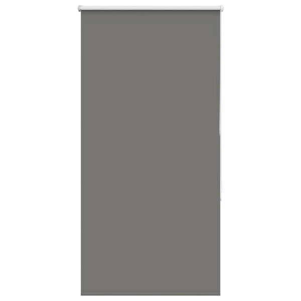 Verdunkelungsrollo Grau 65x150 cm