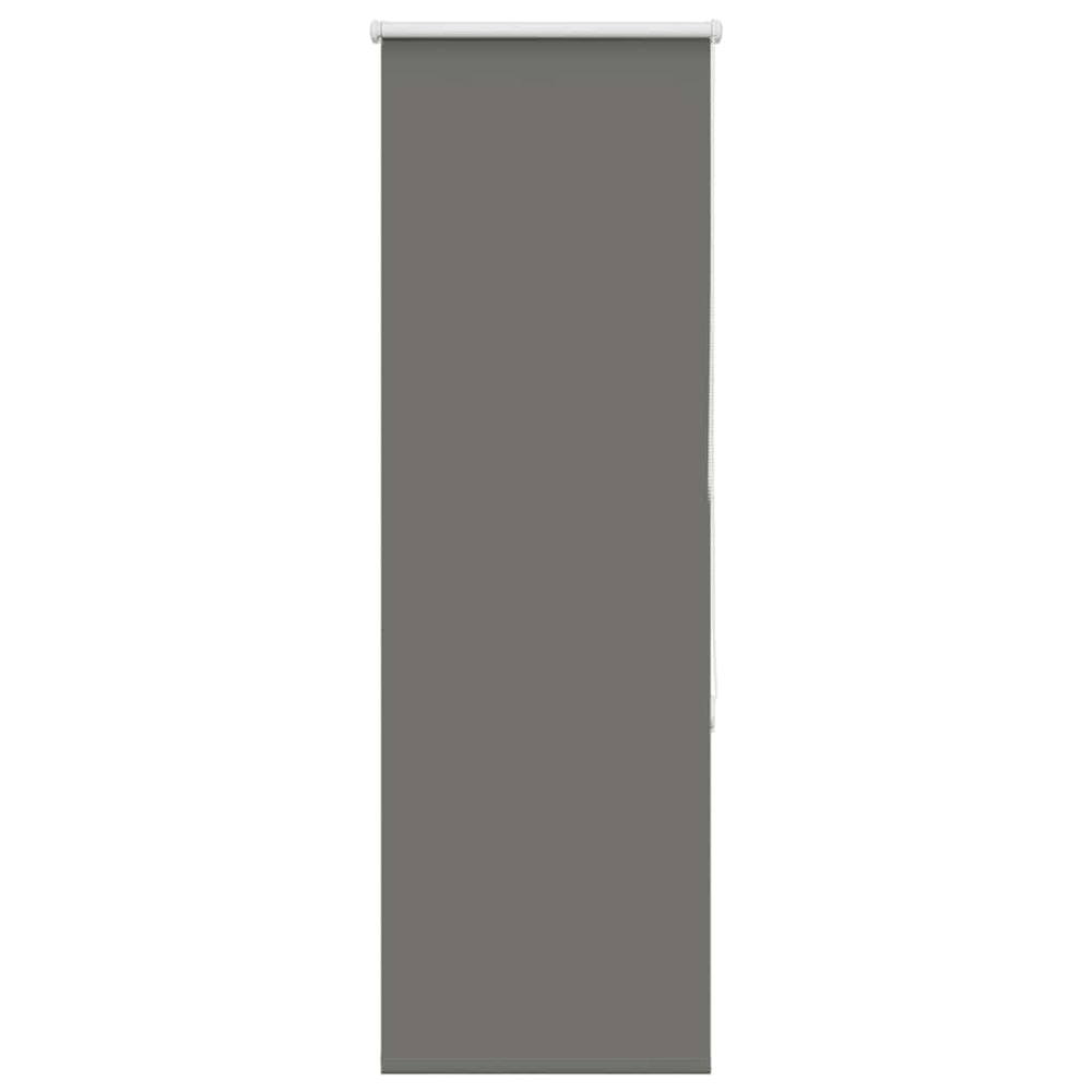 Verdunkelungsrollo Grau 40x175 cm