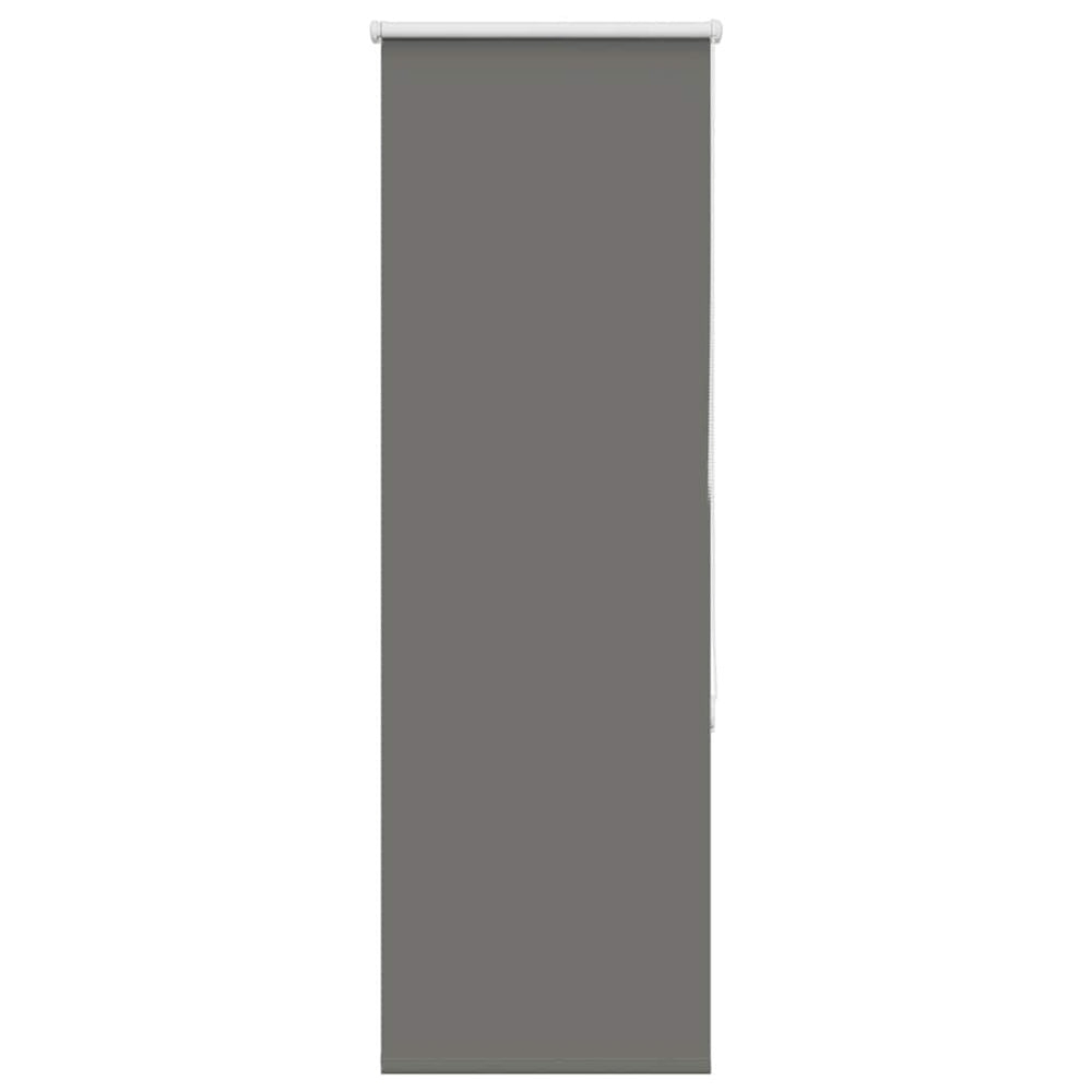 Verdunkelungsrollo Grau 45x175 cm