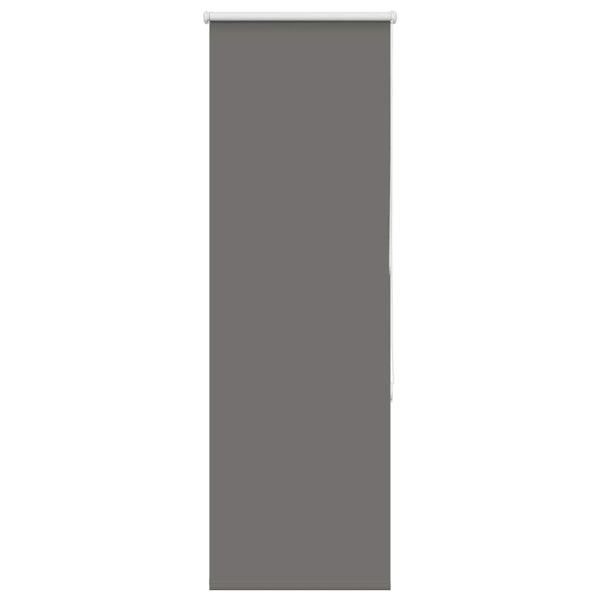 Graues Verdunkelungsrollo 50x175 cm