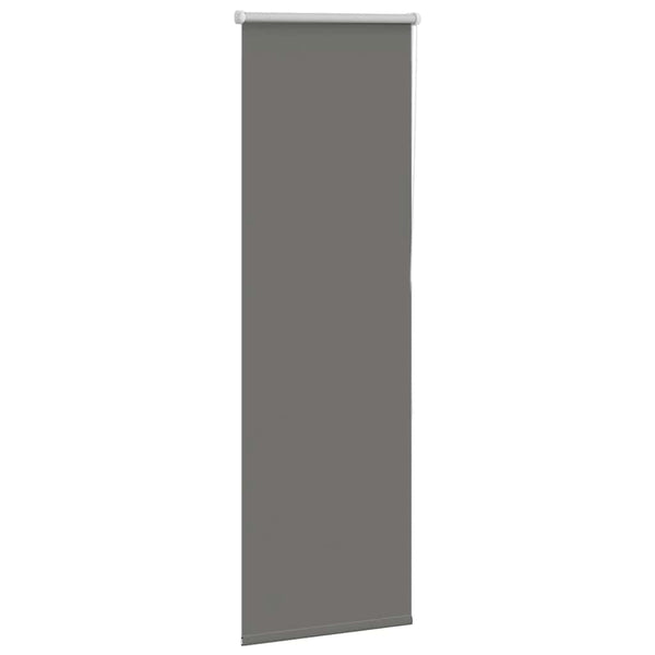 Graues Verdunkelungsrollo 50x175 cm
