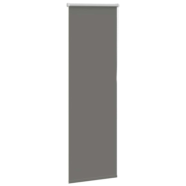 Verdunkelungsrollo Grau 55x175 cm