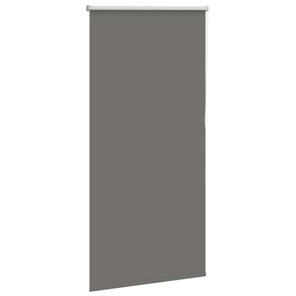 Graues Verdunkelungsrollo 65x175 cm