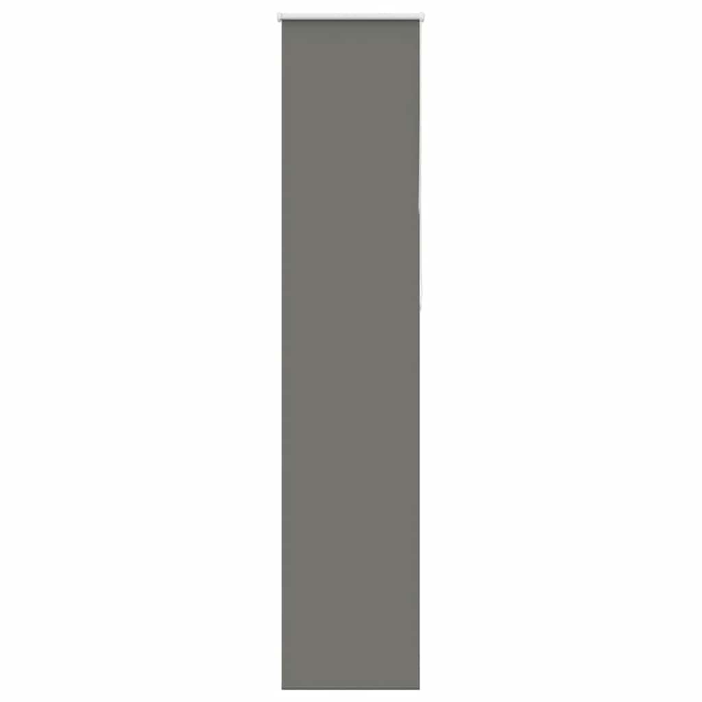 Graues Verdunkelungsrollo 50x210 cm