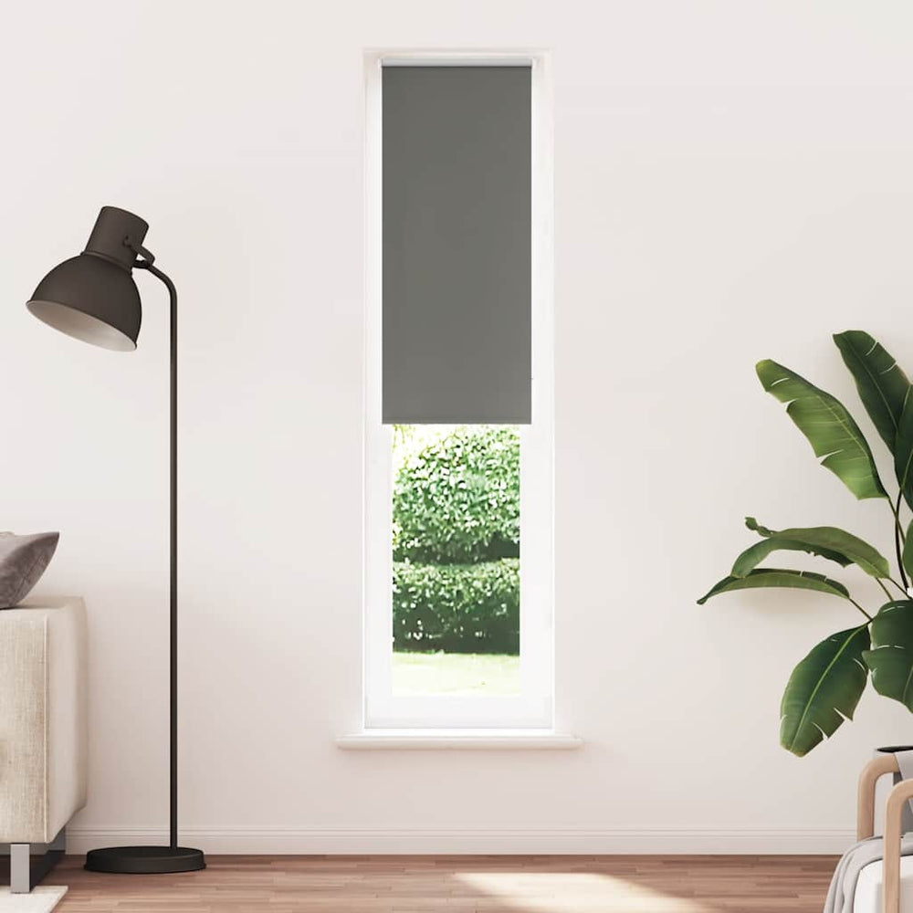 vidaXL Blackout Roller Blind Grey 55x210 cm Fabric width 50.7 cm Polyester