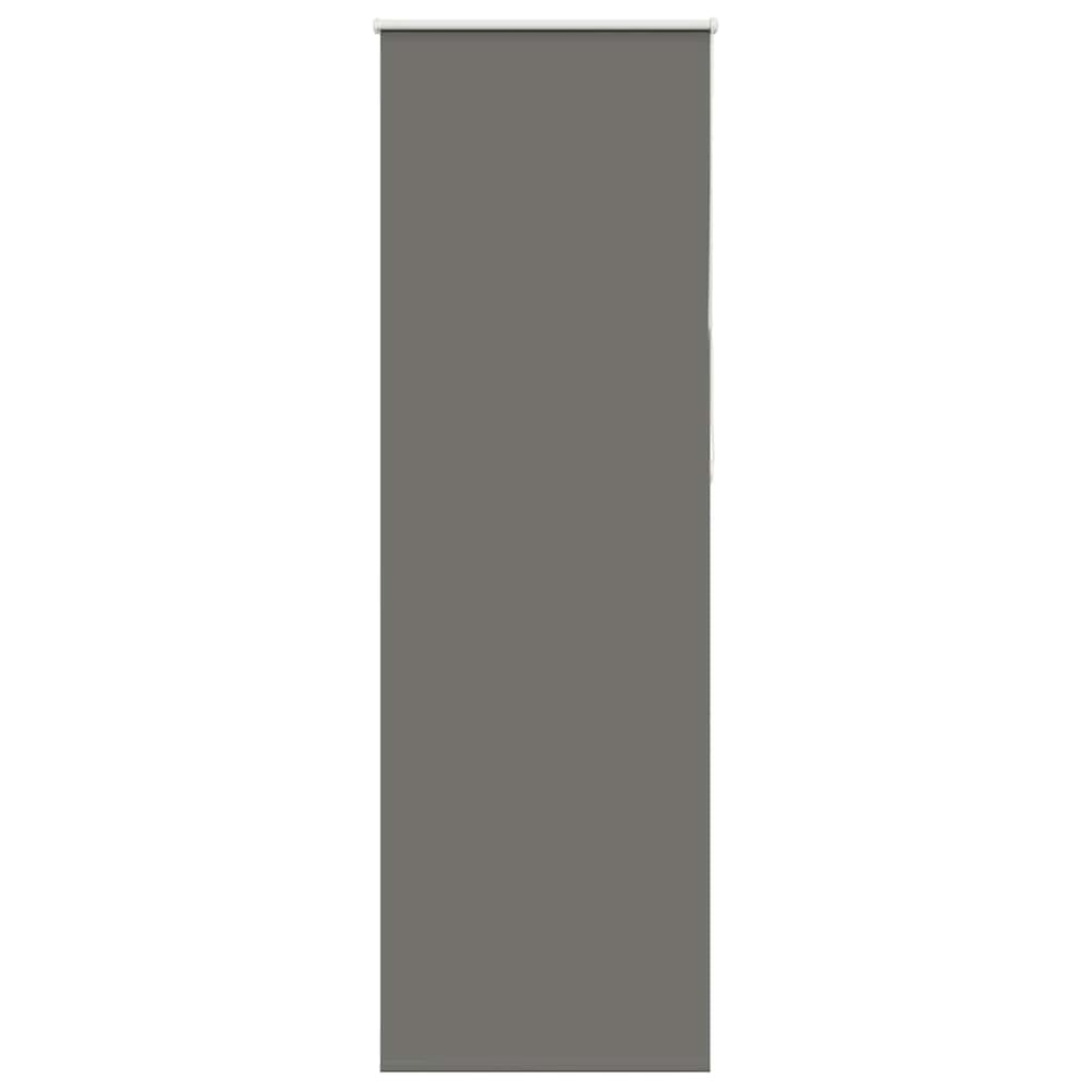 vidaXL Store occultant gris 70x210 cm Largeur du tissu 65,7 cm Polyester