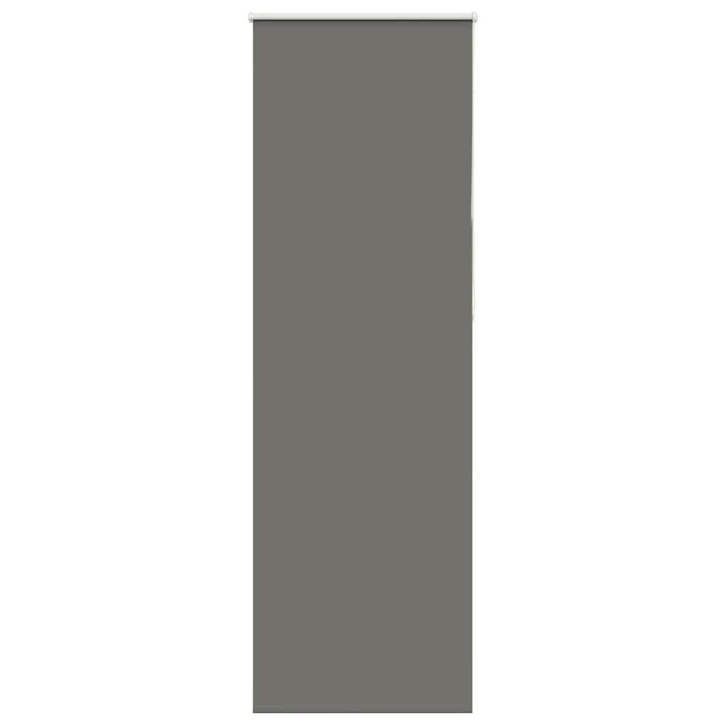 Graues Verdunkelungsrollo 70x210 cm
