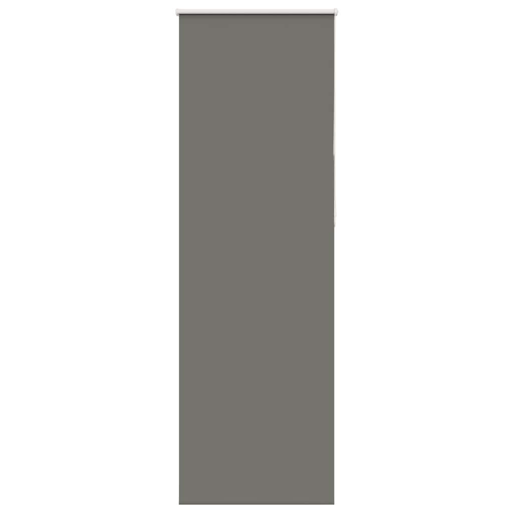 Verdunkelungsrollo Grau 75x210 cm