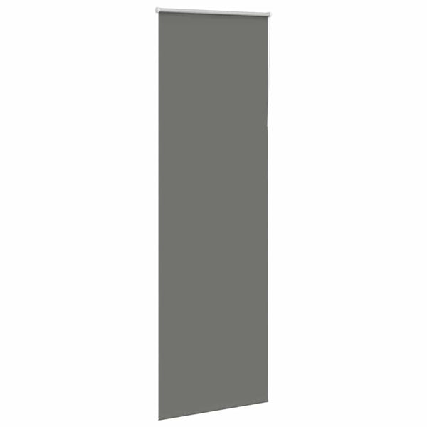 Graues Verdunkelungsrollo 85x210 cm