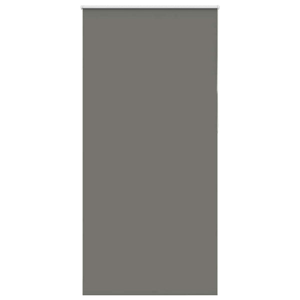 Verdunkelungsrollo Grau 90x210 cm