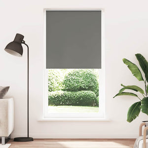 Graues Verdunkelungsrollo 95x210 cm