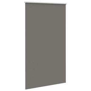 Verdunkelungsrollo Grau 120x210 cm