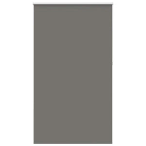 Verdunkelungsrollo Grau 125x210cm