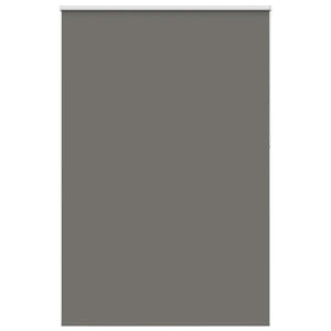 Verdunkelungsrollo Grau 165x210cm