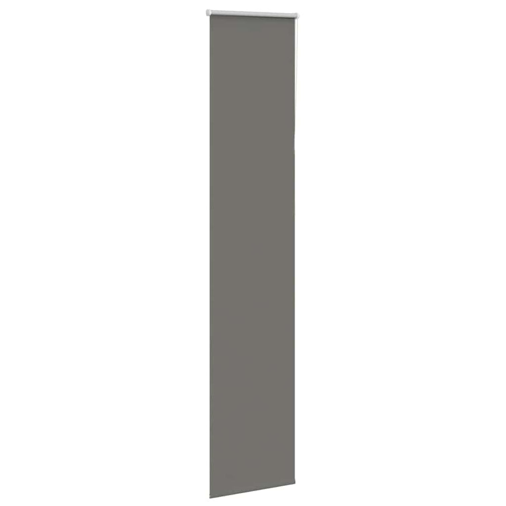 Graues Verdunkelungsrollo 55x230 cm