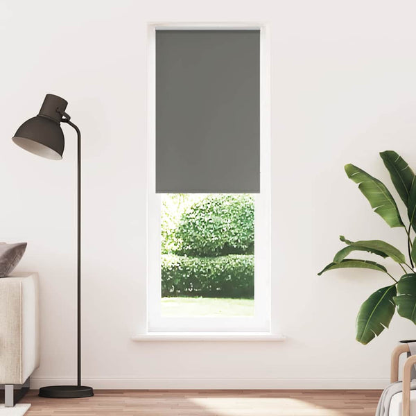 Verdunkelungsrollo Grau 65x230 cm
