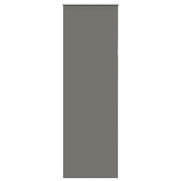 Graues Verdunkelungsrollo 80x230 cm