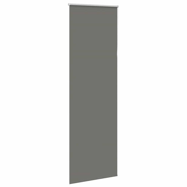 Graues Verdunkelungsrollo 80x230 cm