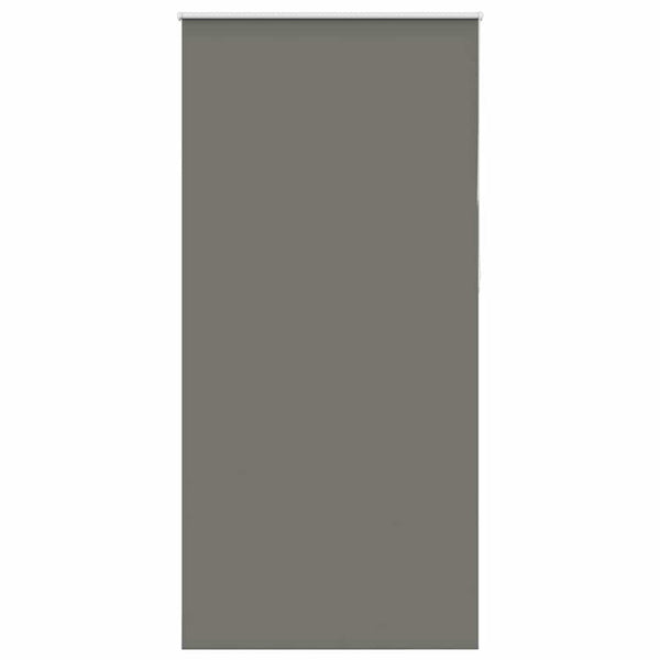 Verdunkelungsrollo Grau 95x230 cm