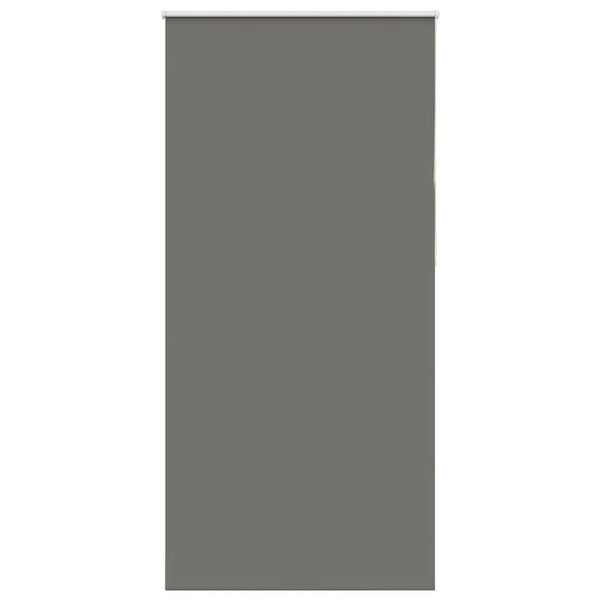 Verdunkelungsrollo Grau 110x230 cm