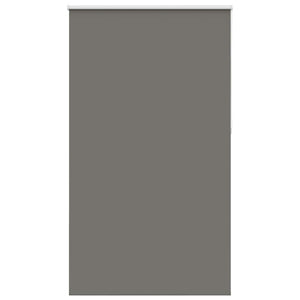 Verdunkelungsrollo Grau 125x230 cm