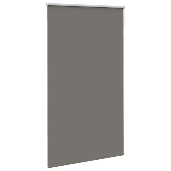 Verdunkelungsrollo Grau 125x230 cm