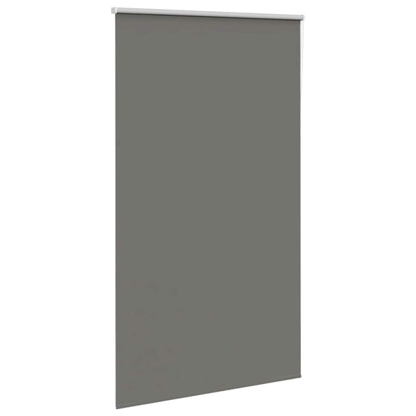 Verdunkelungsrollo Grau 135x230 cm